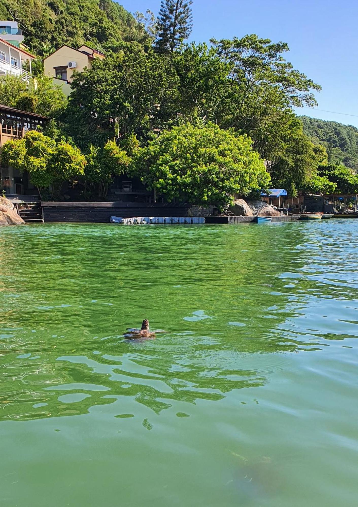 Pousada Vista Da Barra - Florianopolis — Fotos 2